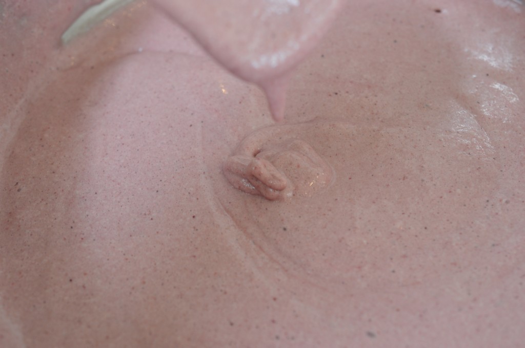 Blackberry Mouse - finished