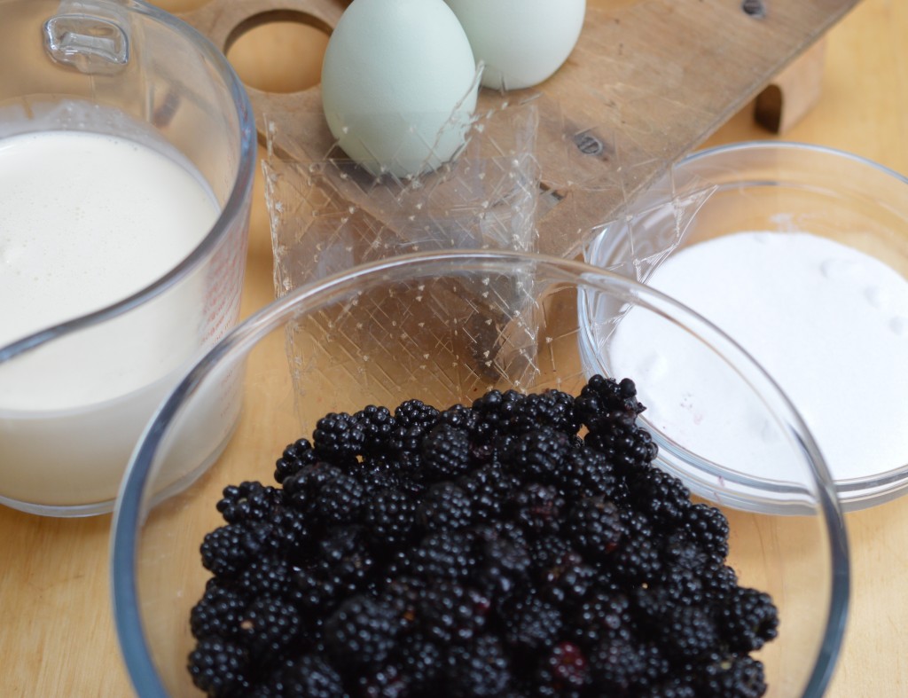 Blackberry Mousse - ingredients