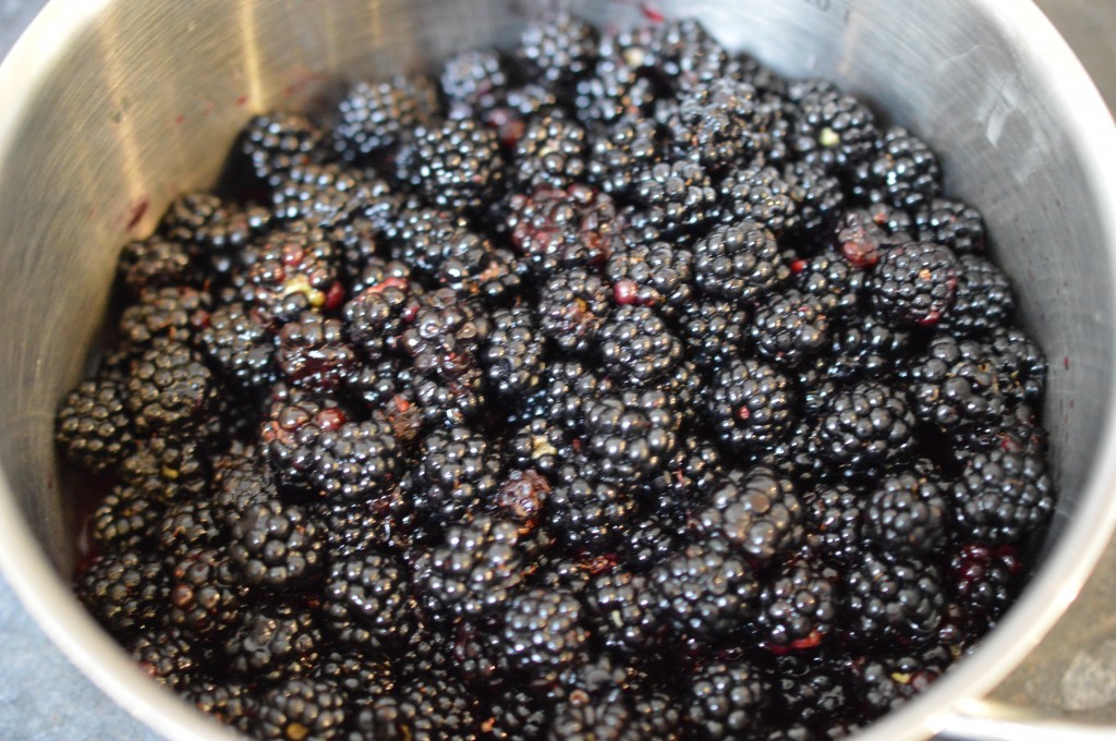 Blackberry Mousse - soften berries