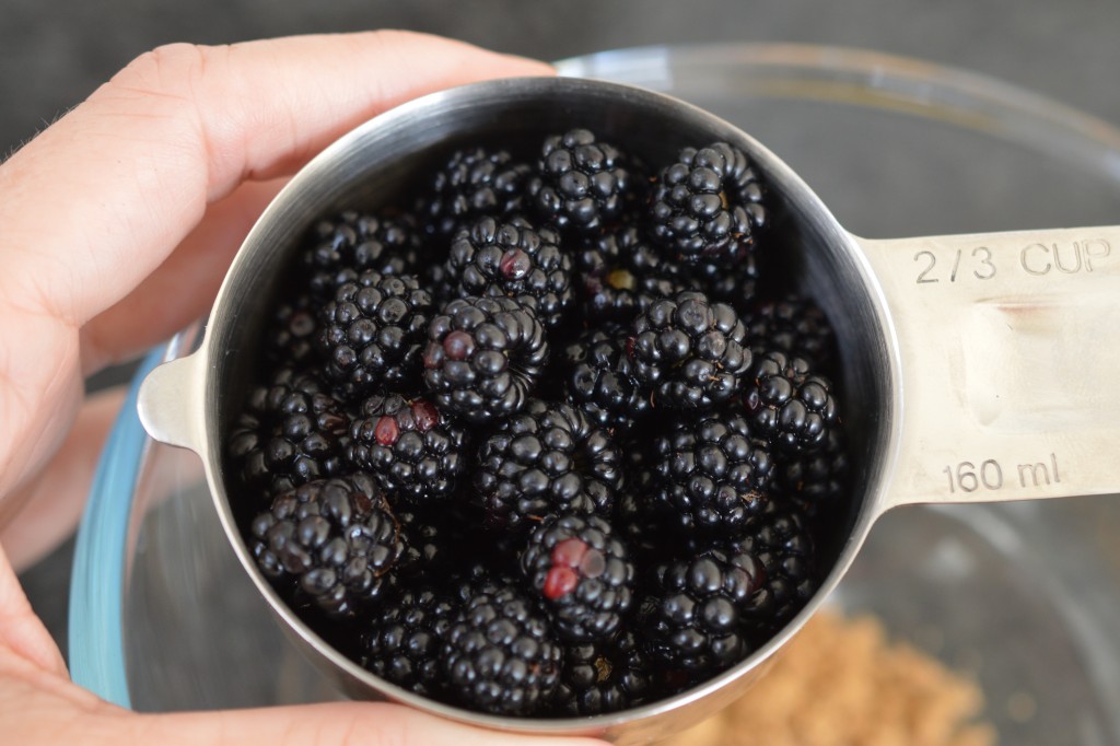 Blackberry and apple fruit measure