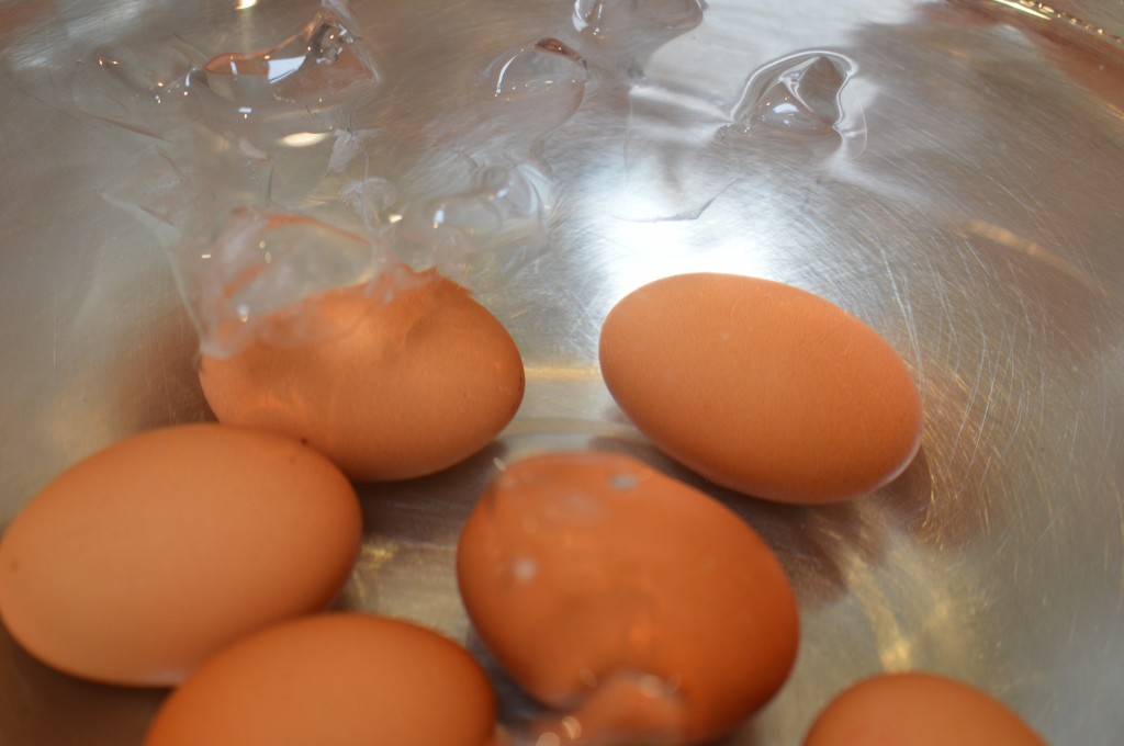 Scotch Egg - cool in iced water