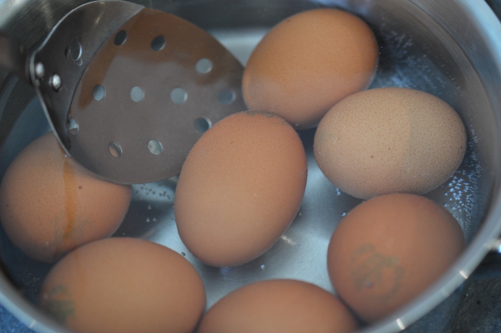 Scotch Egg - soft yolk cook