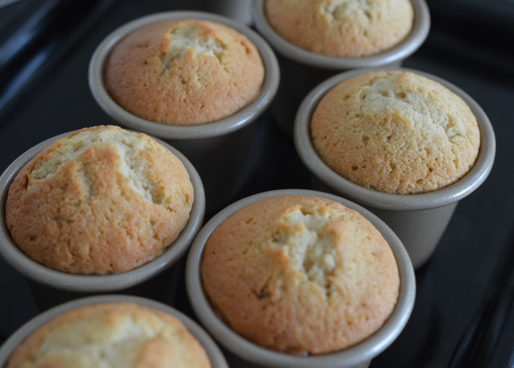 Coconut Castles - 11