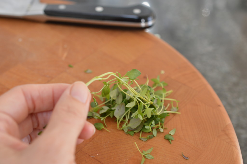 Leek and Goats Cheese Tart 8