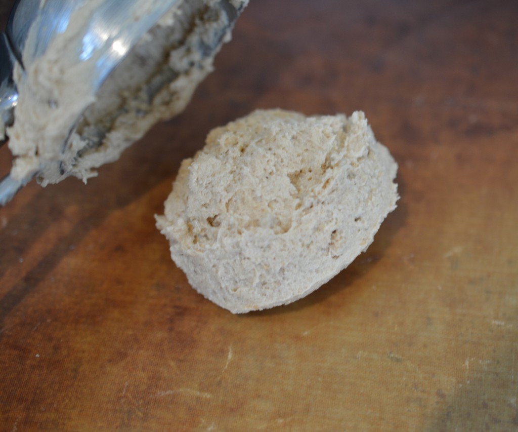 Peanut Butter Cookie 10