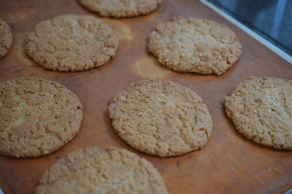Peanut Butter Cookie 11