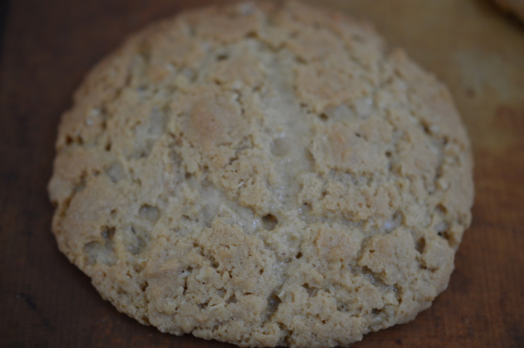 Peanut butter cookie 12