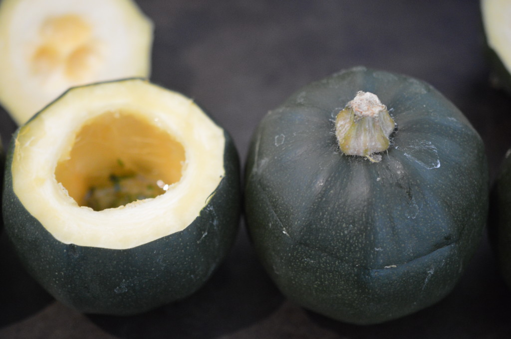 Gem Squash - oil in lid on