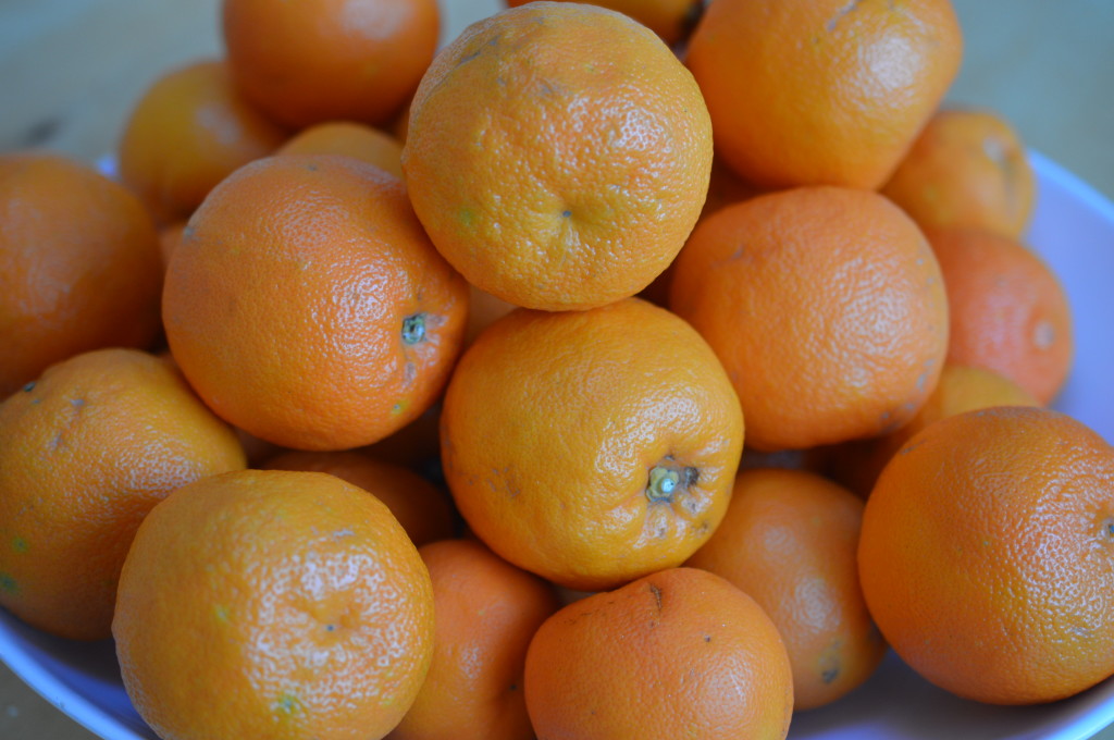 Marmalade Seville Oranges