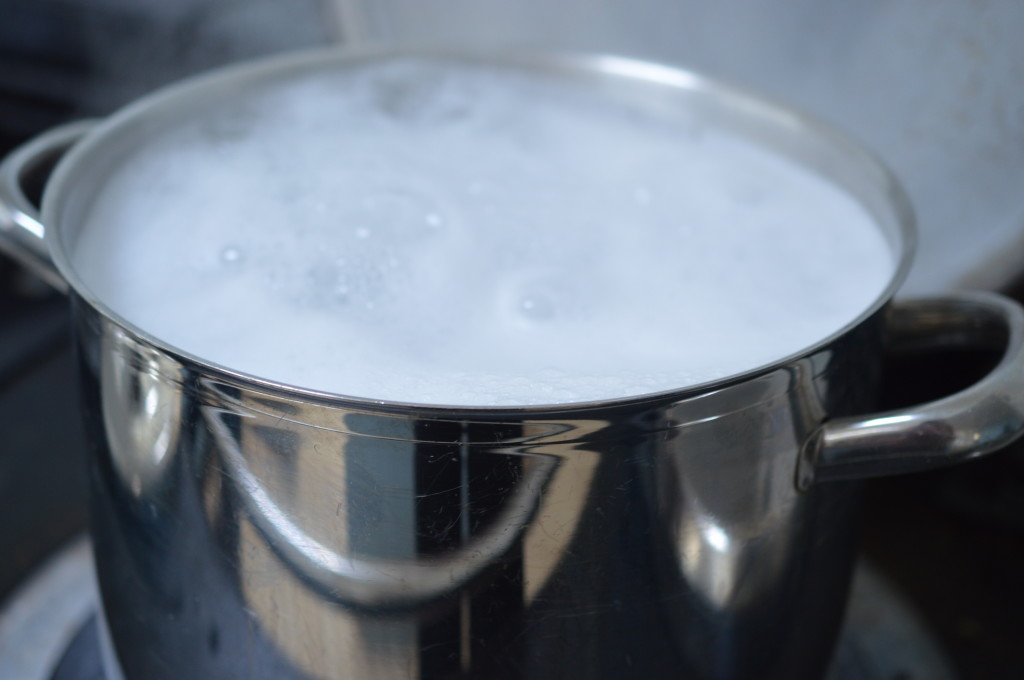 Penne rigate in vodka 11