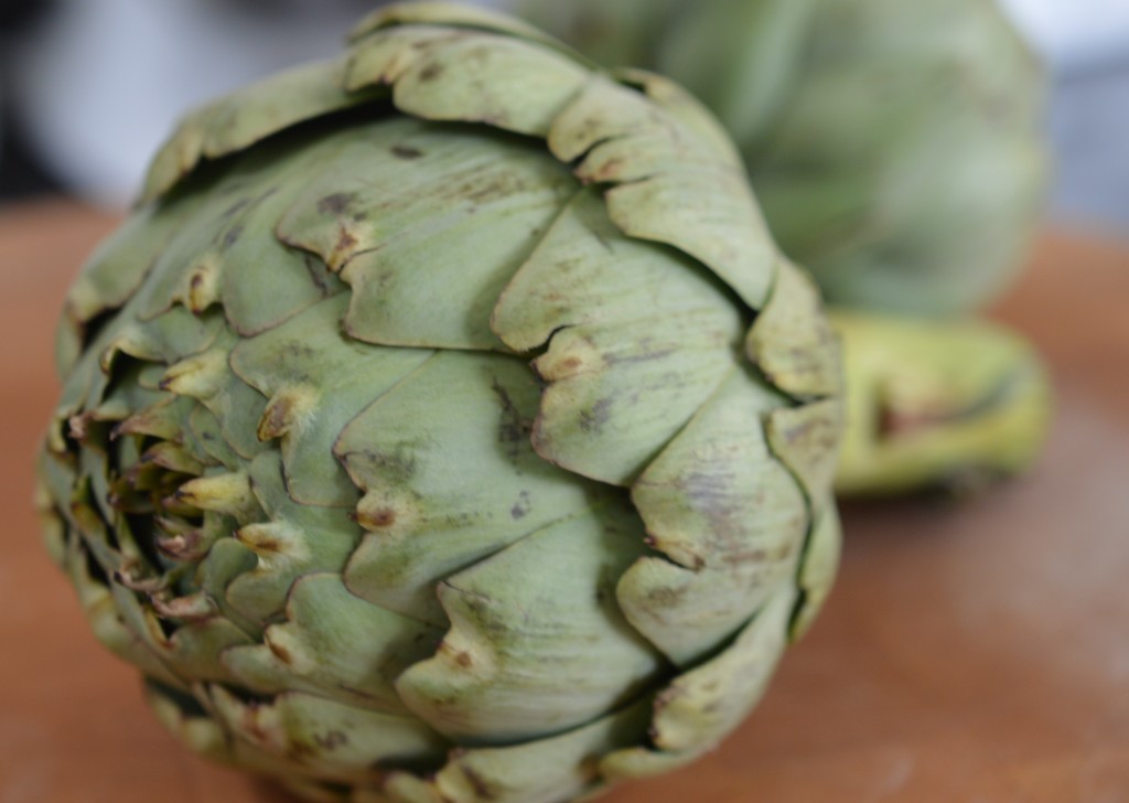 Artichoke 1