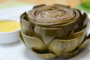 Artichoke 16