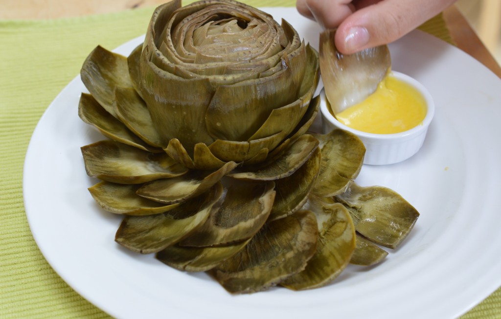Artichoke 18