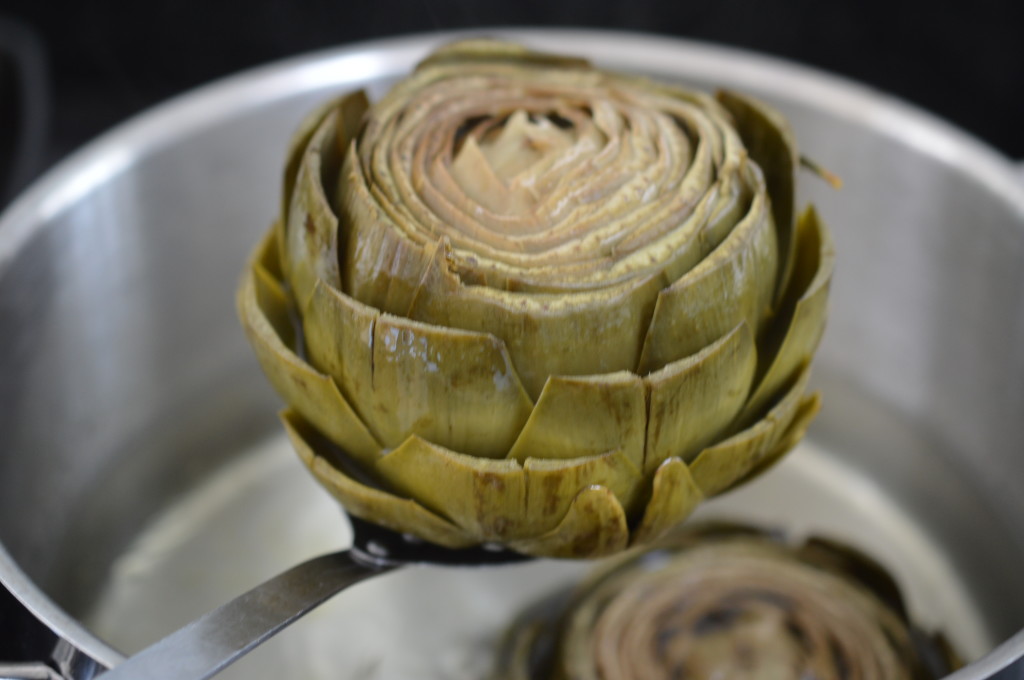 Artichoke 7