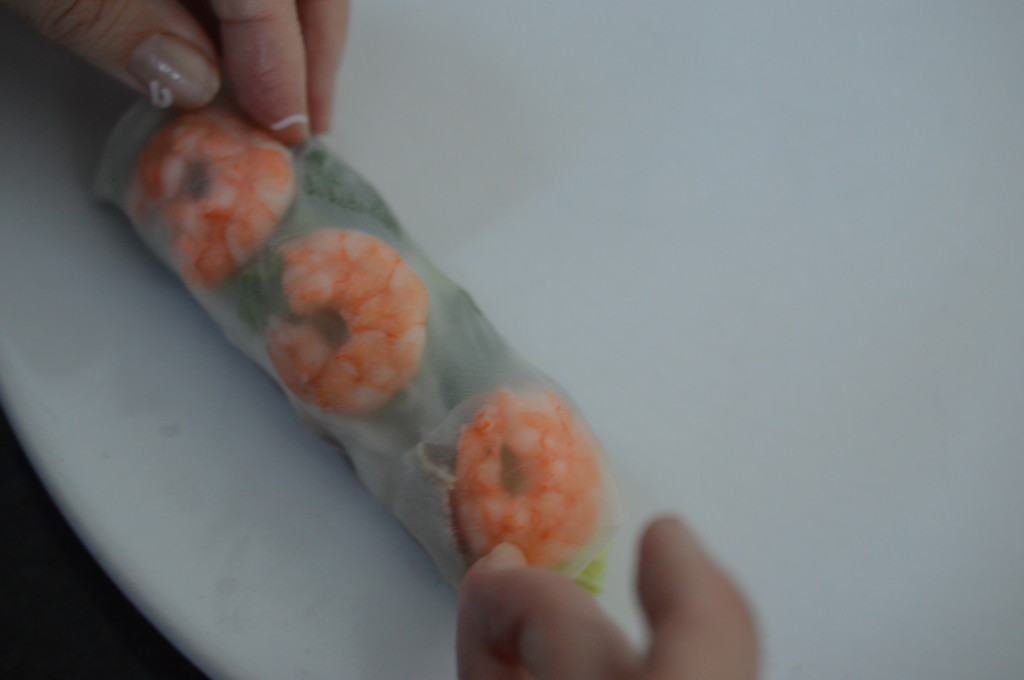 vietnemese style fresh spring rolls 22