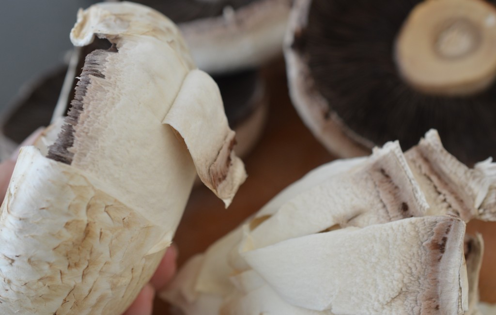 Breakfast Mushroom 2