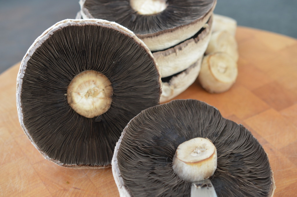 Breakfast Mushroom 3