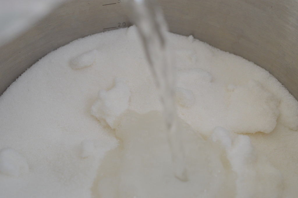 Elderflower Cordial 1