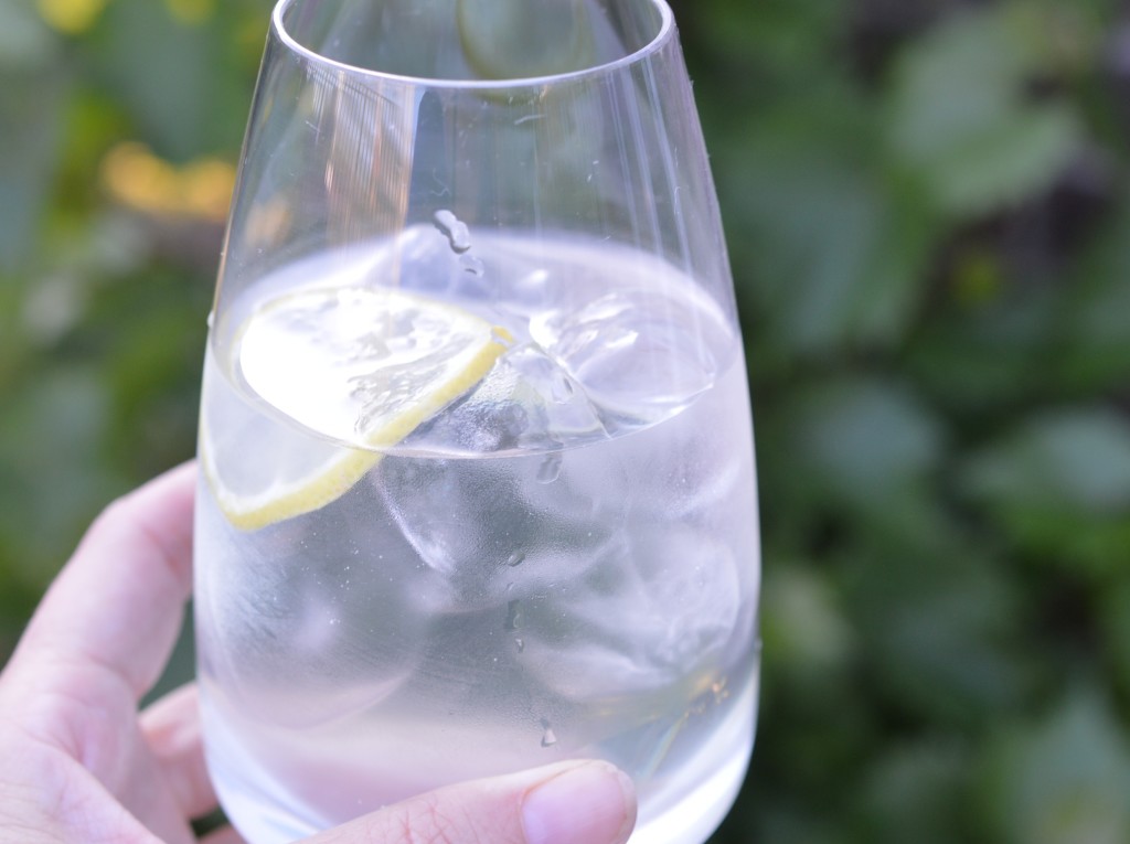 Elderflower Cordial 3