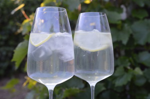 Elderflower Cordial 5