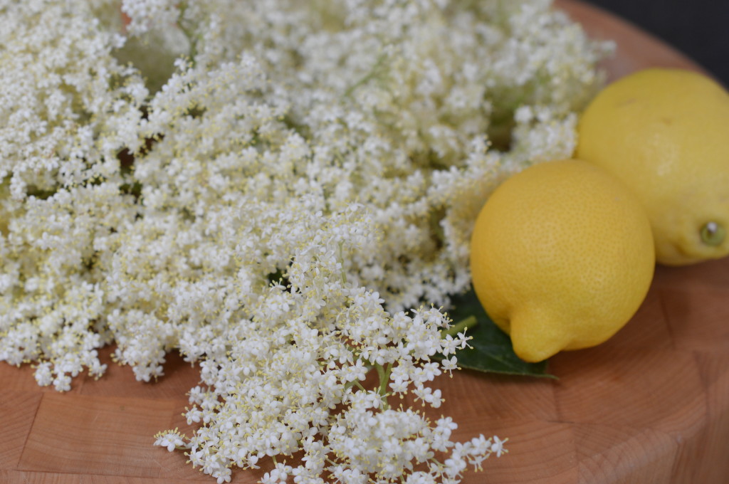 Elderflower Cordial 6