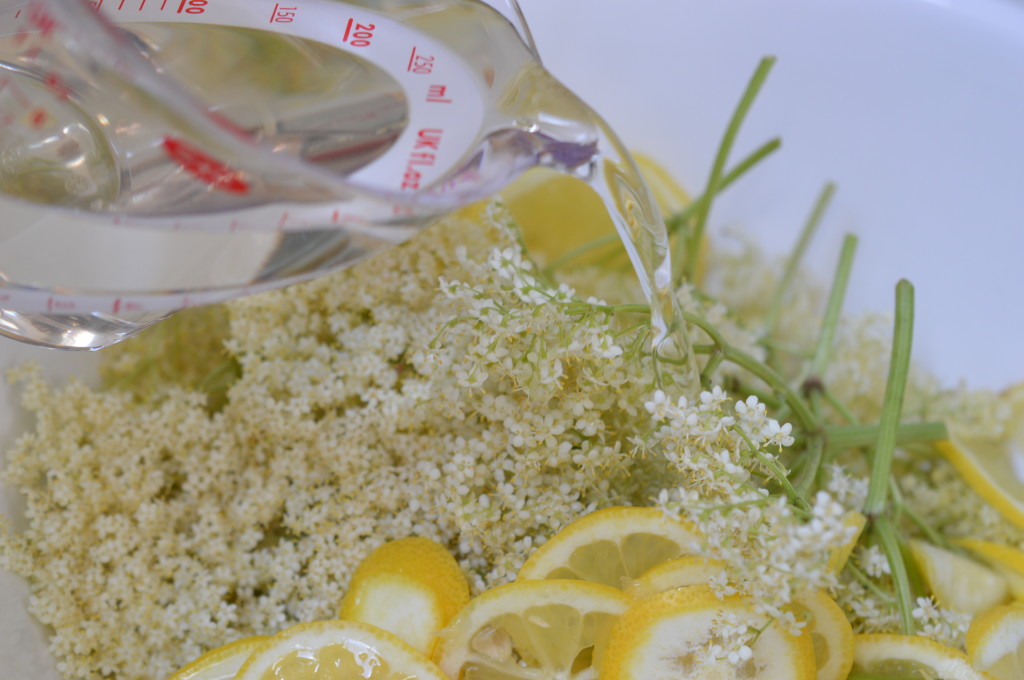 Elderflower Cordial 9