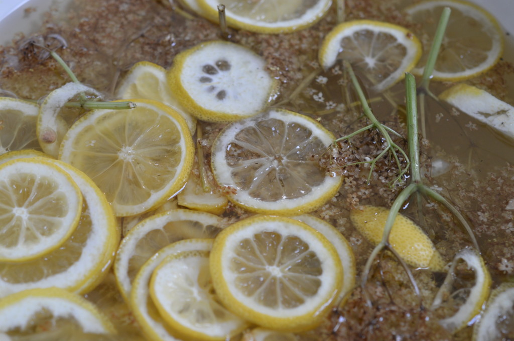 Elderflower Cordial 9