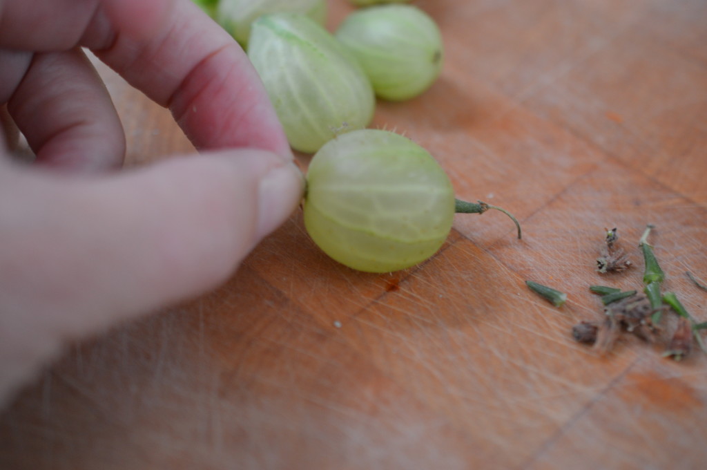 Gooseberry and Elderflower Cake 5