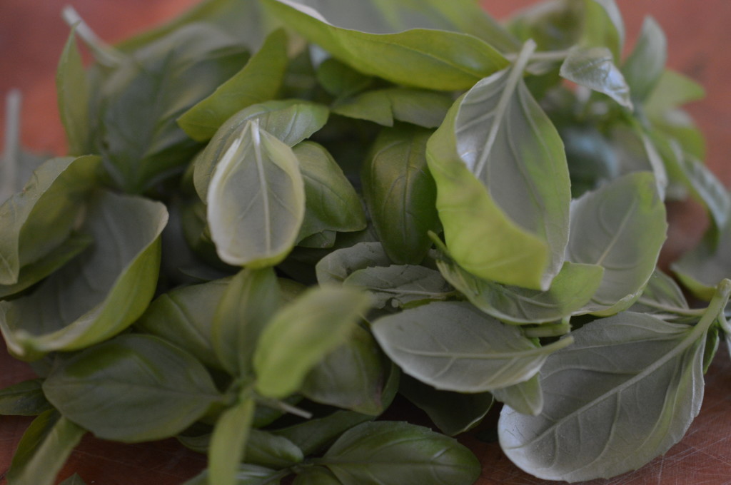 Herby Potato Salad basil