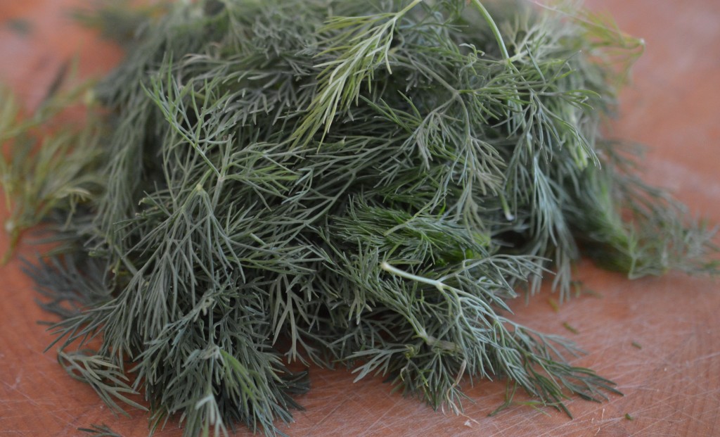 Herby Potato Salad dill