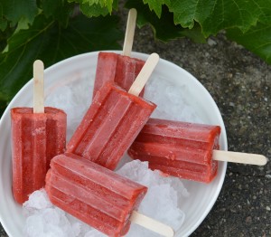 Pimms Lolly in garden