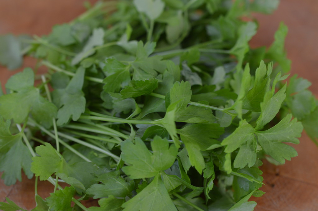 flat leaf parsley