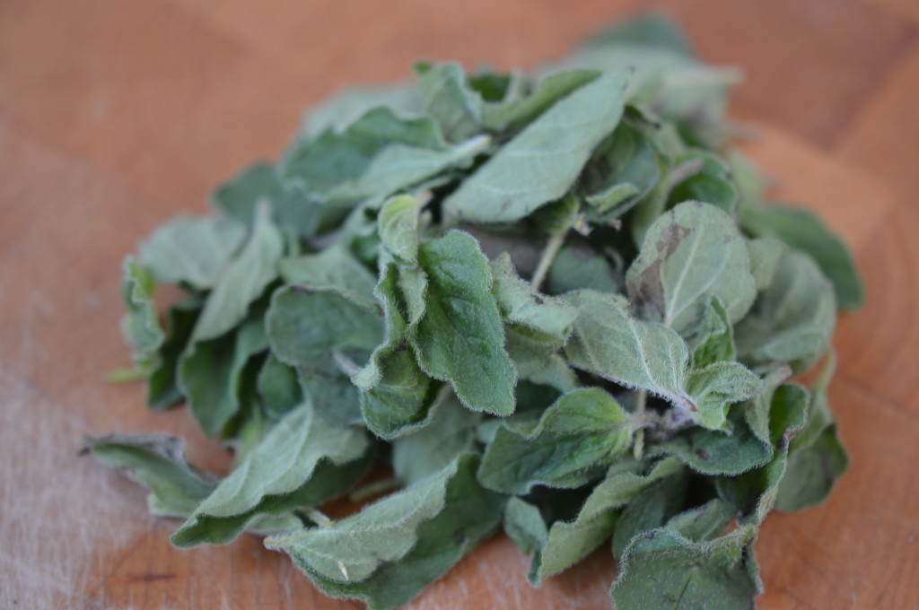 fresh oregano