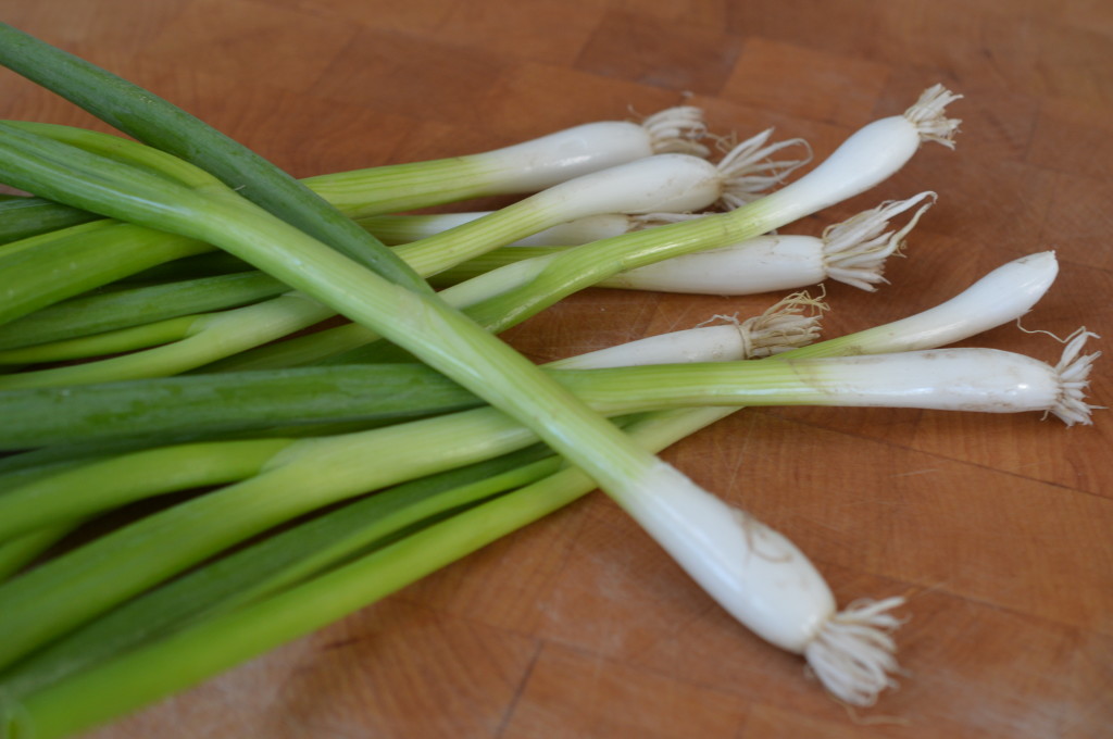 spring onions