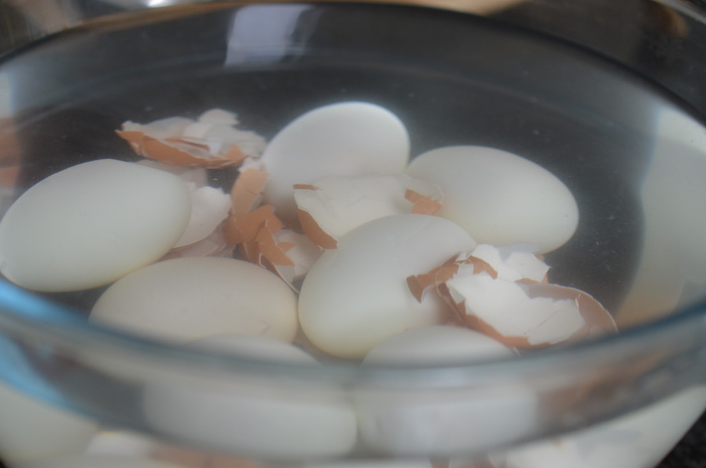 Hard Boiled Egg 10